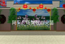 阿采广场舞歌曲火苗