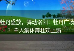 牡丹盛放，舞动洛阳：牡丹广场千人集体舞壮观上演