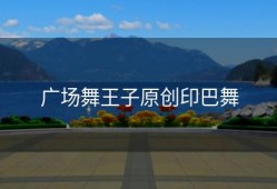 广场舞王子原创印巴舞