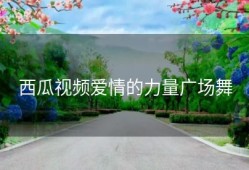 西瓜视频爱情的力量广场舞