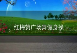 红梅赞广场舞健身操