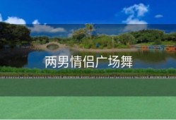 两男情侣广场舞