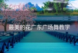 最美的花广东广场舞教学
