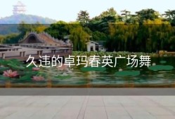 久违的卓玛春英广场舞