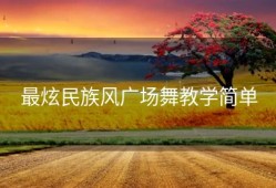 最炫民族风广场舞教学简单