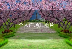 个人广场舞图片