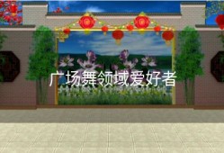 广场舞领域爱好者