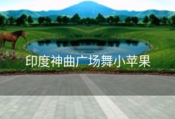 印度神曲广场舞小苹果