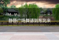 静静广场舞请到东北来