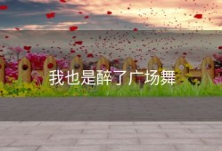 我也是醉了广场舞