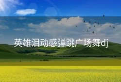 英雄泪动感弹跳广场舞dj