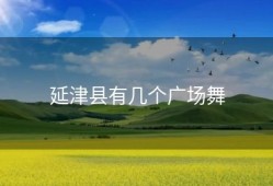 延津县有几个广场舞