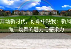 舞动新时代，你命中缺我：新风尚广场舞的魅力与感染力