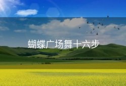 蝴蝶广场舞十六步