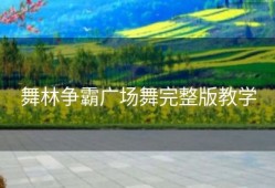 舞林争霸广场舞完整版教学