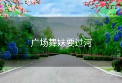 广场舞妹要过河