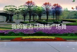 我的蒙古马楠楠广场舞