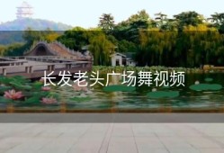 长发老头广场舞视频