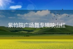 紫竹院广场舞专辑映山红