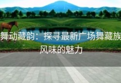 舞动藏韵：探寻最新广场舞藏族风味的魅力