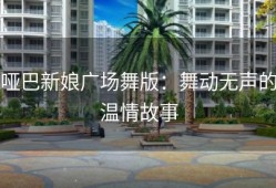 哑巴新娘广场舞版：舞动无声的温情故事