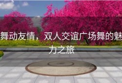舞动友情，双人交谊广场舞的魅力之旅