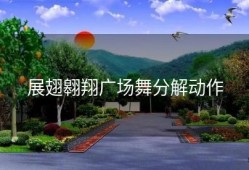 展翅翱翔广场舞分解动作