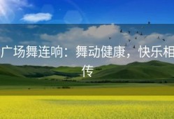 广场舞连响：舞动健康，快乐相传