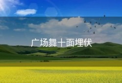 广场舞十面埋伏