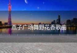 燕子广场舞野花香歌曲