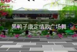 黑鸭子康定情歌广场舞