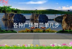 各种广场舞简单几步