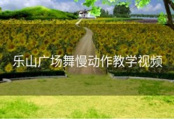 乐山广场舞慢动作教学视频