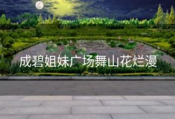 成碧姐妹广场舞山花烂漫