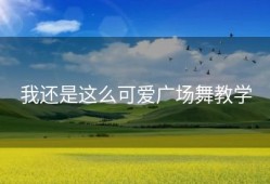 我还是这么可爱广场舞教学