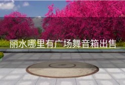 丽水哪里有广场舞音箱出售