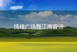 情缘广场舞江南音诗