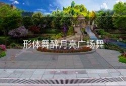 形体舞醉月亮广场舞