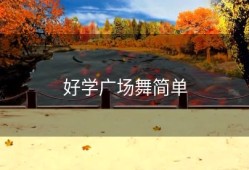 好学广场舞简单