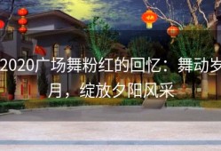 2020广场舞粉红的回忆：舞动岁月，绽放夕阳风采
