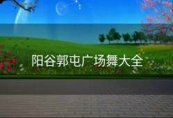 阳谷郭屯广场舞大全