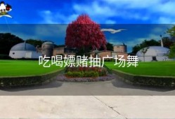 吃喝嫖赌抽广场舞