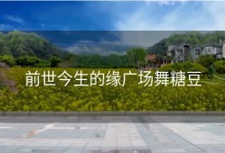 前世今生的缘广场舞糖豆