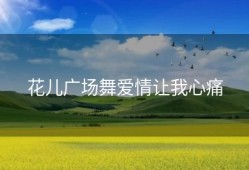 花儿广场舞爱情让我心痛