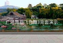 广场舞眉飞色舞3背面演示