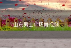 山东男士广场舞视频