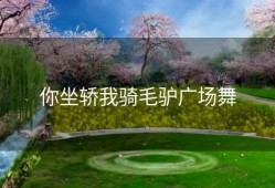 你坐轿我骑毛驴广场舞