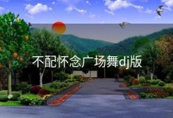 不配怀念广场舞dj版