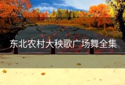 东北农村大秧歌广场舞全集