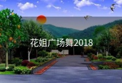 花姐广场舞2018